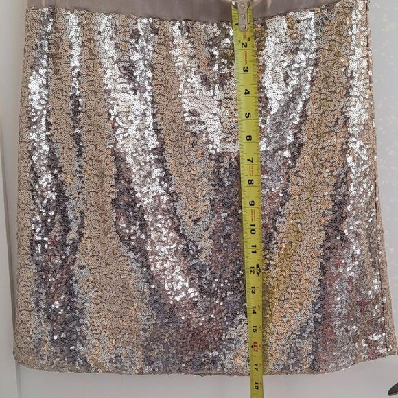 Sequined Skirt - Picture 6 of 6